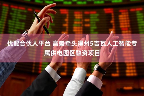 优配合伙人平台 高盛牵头得州5吉瓦人工智能专属供电园区融资项目