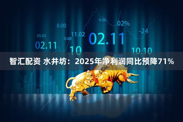 智汇配资 水井坊：2025年净利润同比预降71%